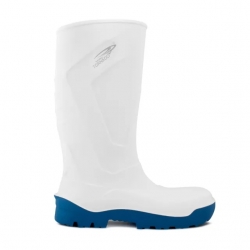 - THE WELLY - THE WELLY