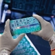 Luva Em Malha Sem Costuras Com Fio UHMWPE - SHOWA
